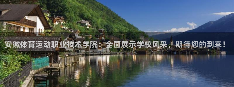 JJB竞技宝官网下载招商电话地址：安徽体育运动职业技