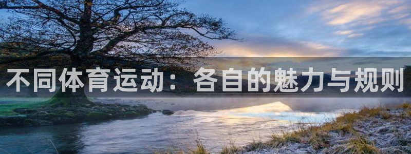 JJB竞技宝官方正版app集团logo：不同体育运动