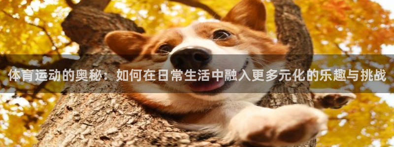 JJB竞技宝官方正版app开户