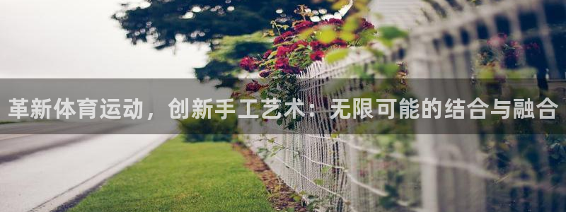 JJB竞技宝官网下载官方客服电话：革新体育运动，创新手工艺术
