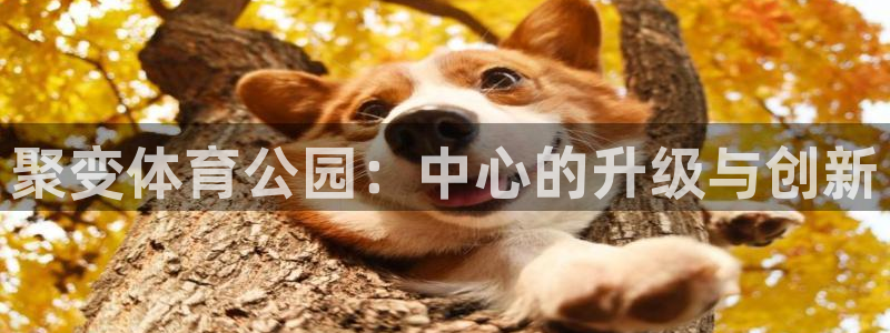 JJB竞技宝官方正版app官网：聚变体育公园：中心的升级与创