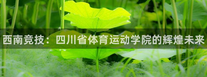 JJB竞技宝官网下载平台注册流程视频：西南竞技：四川省体育运