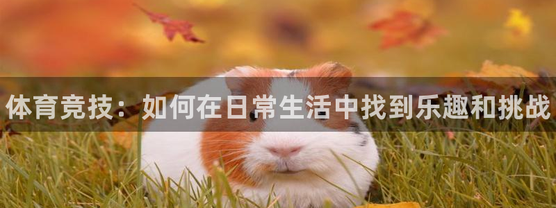 JJB竞技宝官方正版app娱乐网站