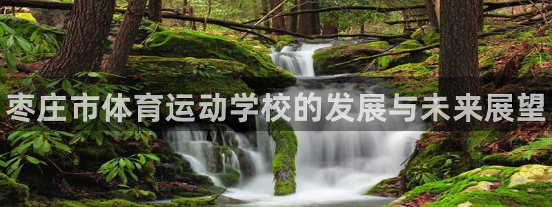 JJB竞技宝官网下载平台注册要钱吗安全吗：枣庄市体育运动学校