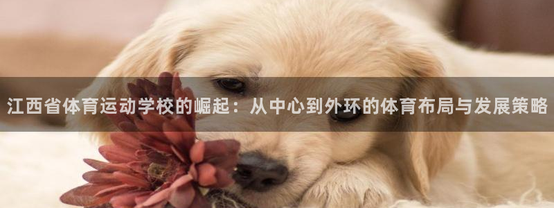JJB竞技宝官网下载招商电话：江西省体育运动学校的崛