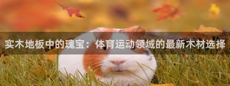 JJB竞技宝官方正版app集团官网首页网址：实木地板