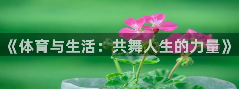 JJB竞技宝官方正版app集团官网首页：《体育与生活：共舞人