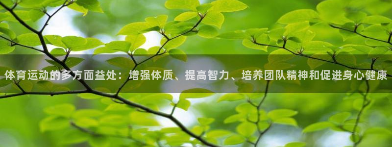 JJB竞技宝官网下载招商电话是多少啊：体育运动的多方面益处：