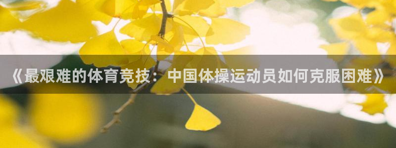 JJB竞技宝官方正版app集团简介：《最艰难的体育竞