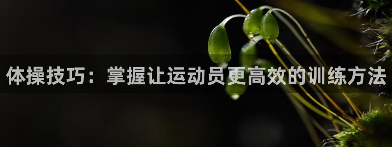 JJB竞技宝官方正版app娱乐：体操技巧：掌握让运动员更高效