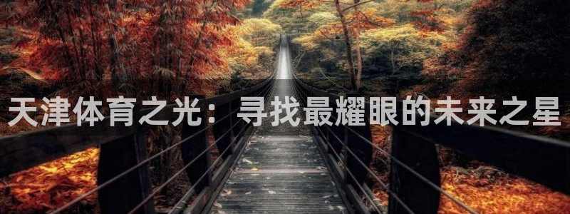 JJB竞技宝官网下载招商电话号码是多少啊：天津体育之光：寻找