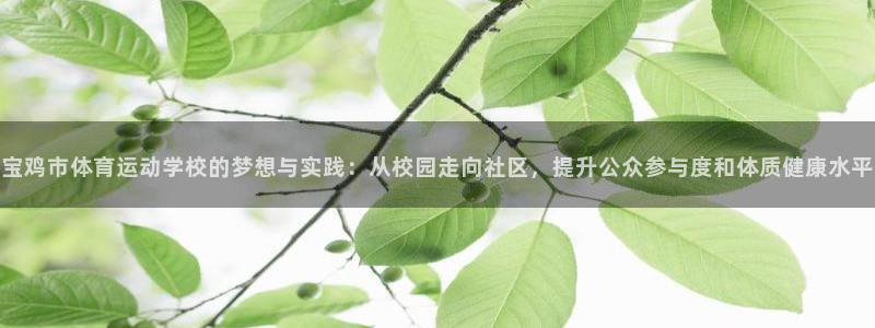 JJB竞技宝官网下载是干嘛的公司：宝鸡市体育运动学校