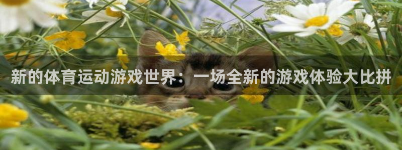 JJB竞技宝官网下载平台注册流程视频：新的体育运动游