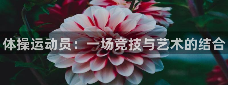 JJB竞技宝官网下载娱乐：体操运动员：一场竞技与艺术