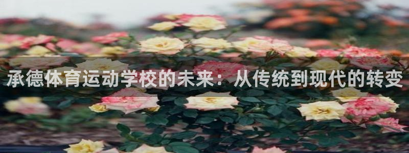 JJB竞技宝官网下载平台假的吗是真的吗：承德体育运动