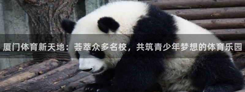 JJB竞技宝官方正版app新能源：厦门体育新天地：荟